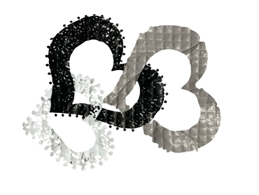 Sweat shirt for ladies