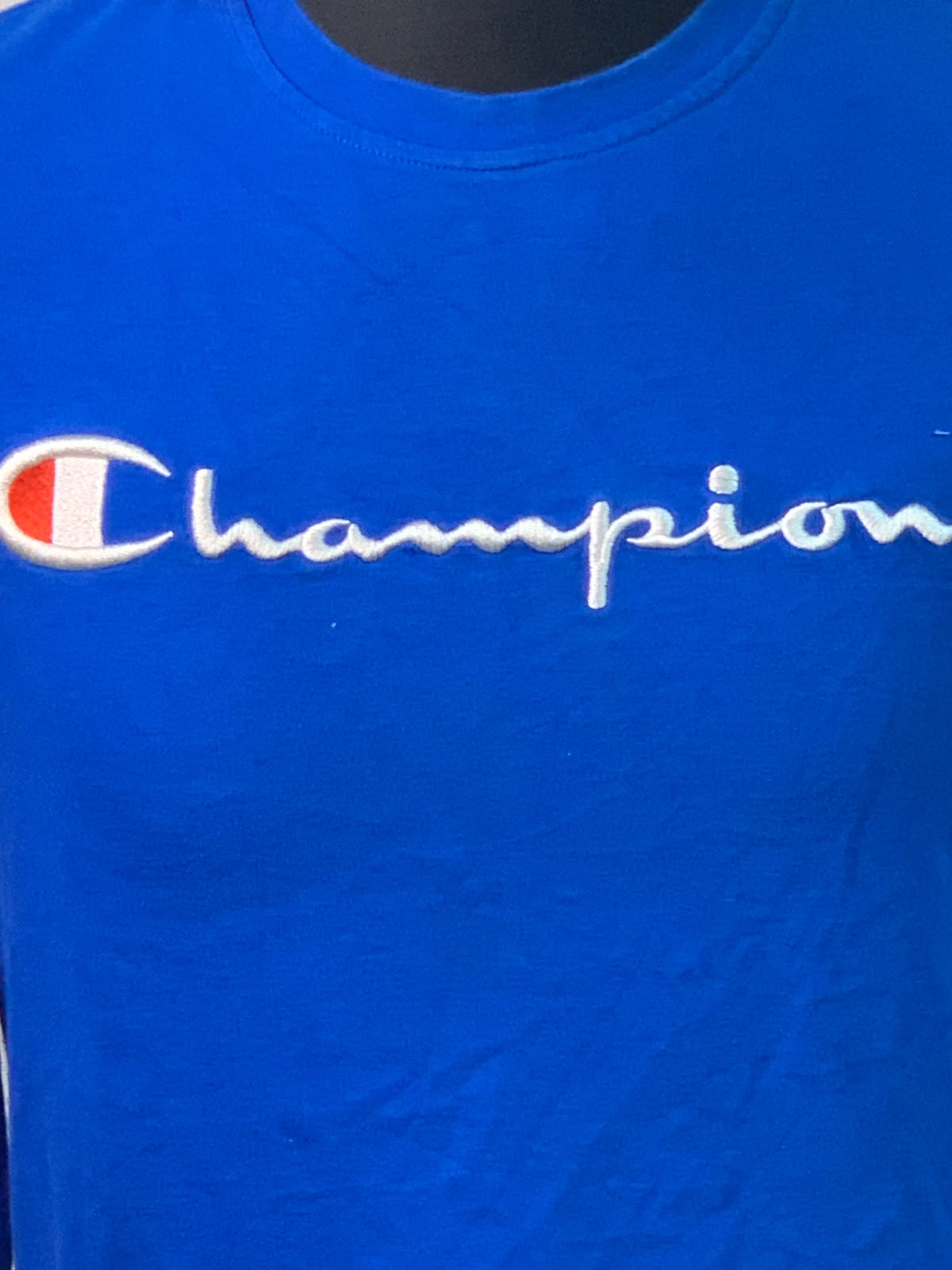 CHAMPION SWEATER FOR MEN